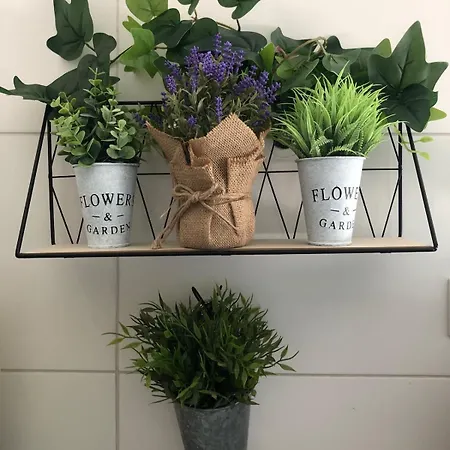 Ferienhaus Refugio Da Serra - House *