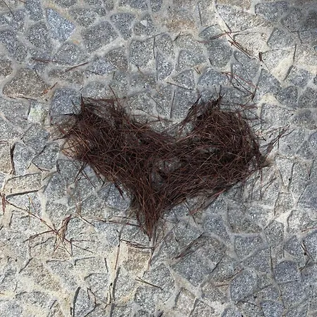 Refugio Da Serra - House Fornos de Algodres