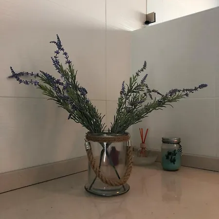 Refugio Da Serra - House Fornos de Algodres