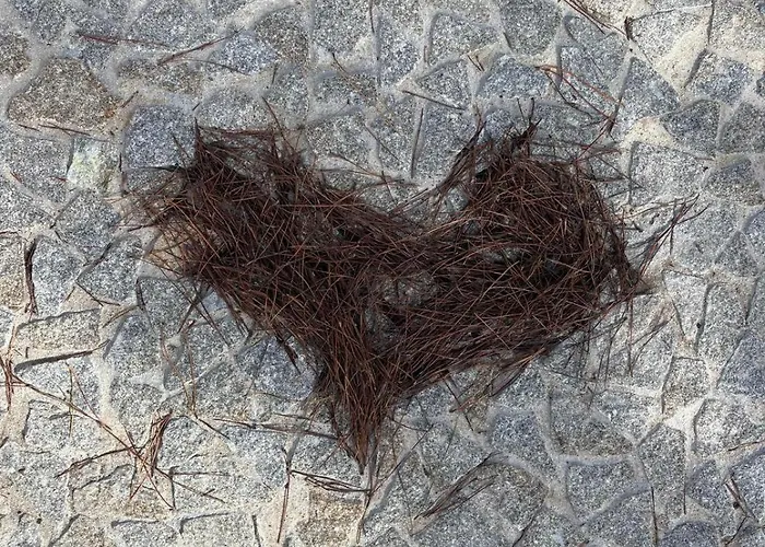 Refugio Da Serra - House Fornos de Algodres